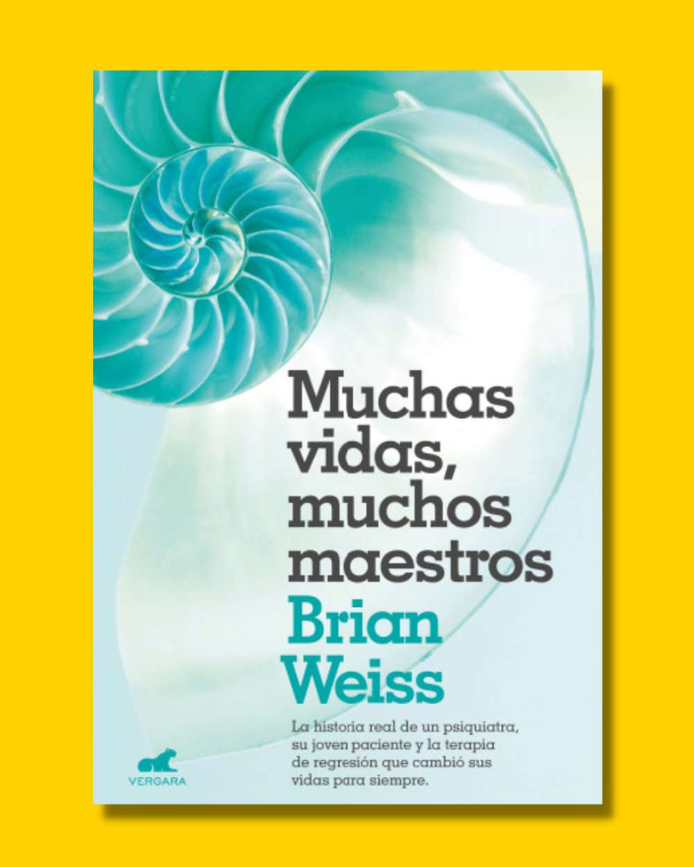 Muchas vidas, muchos maestros - Brian Weiss