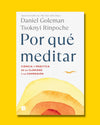 Por qué meditar - Daniel Goleman | Tsoknyi Rinpoche